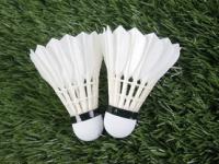 FB体育官方网站-泰国羽毛球队完胜英格兰羽毛球队，辛杜打破历史纪录