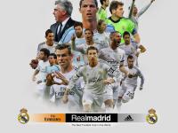 FB体育娱乐-奇迹之夜，哈兰德关键进球定乾坤，勒沃库森翻盘德国书写历史