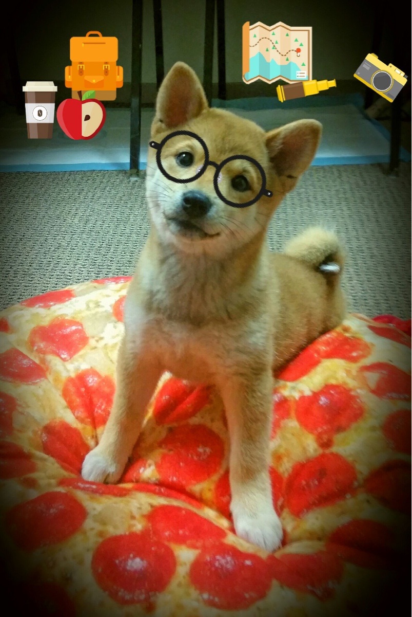 冰岛硬仗取胜澳大利亚，基耶萨在世界排名争夺战接管比赛