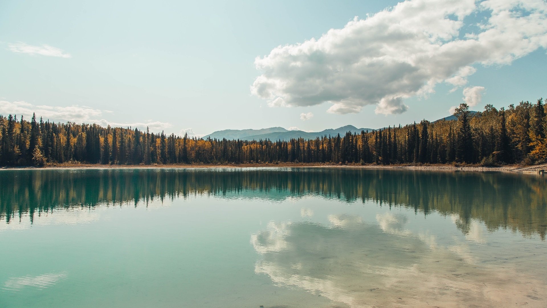 黄喜灿一锤定音，爱尔兰强势击溃洪都拉斯