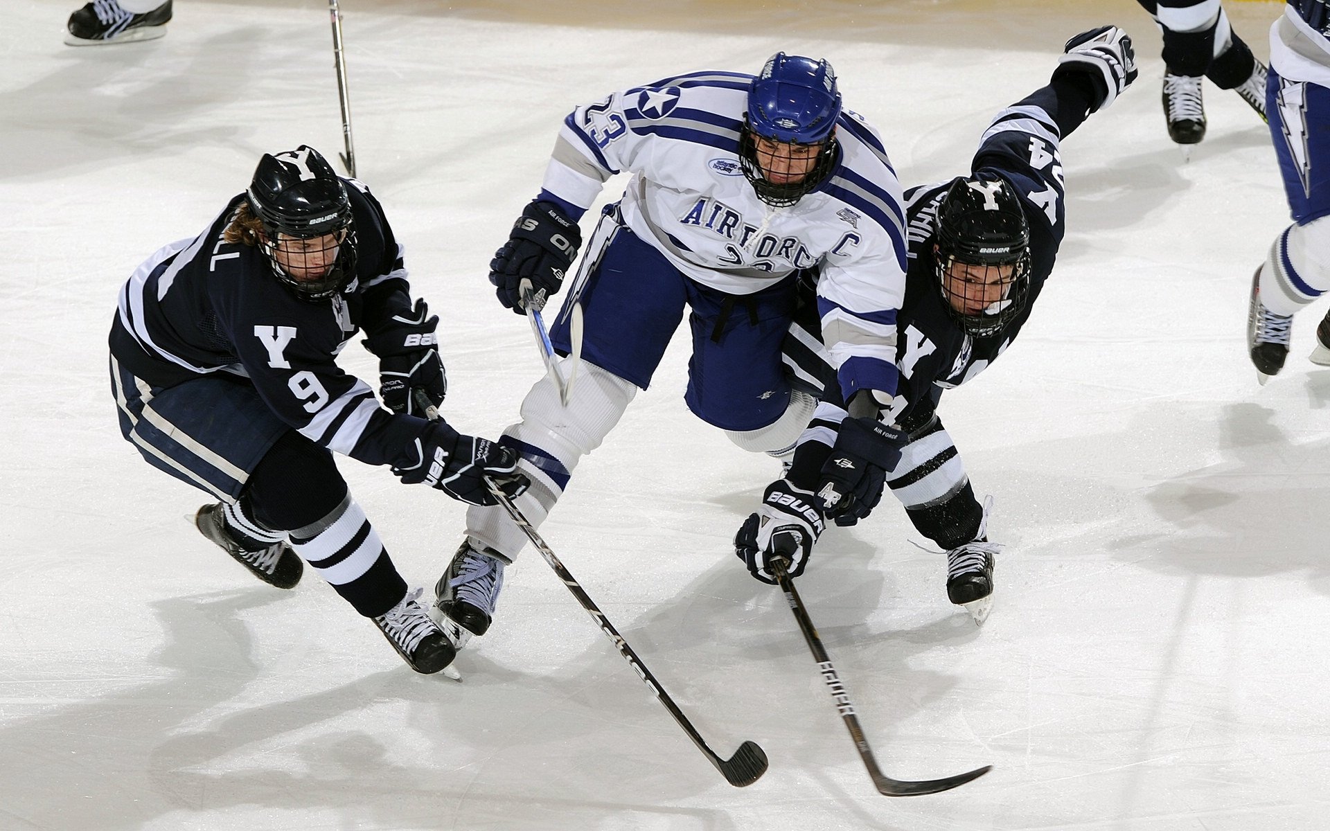 年度焦点之战之夜，范戴克表现堪称教科书